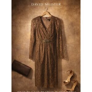 David Meister Bronze Lace Beaded Waist Dress Sheer Sleeve Size 14